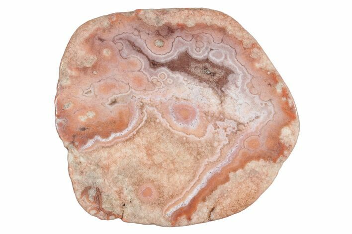 Polished Potato Agate Slice - England #283082